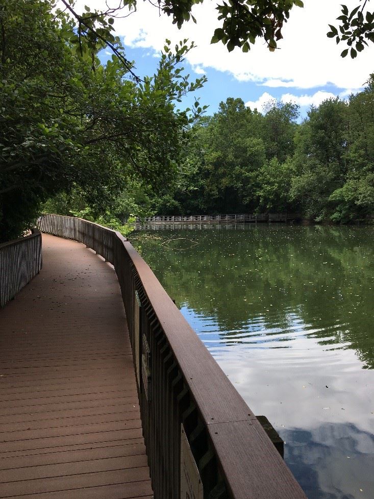Quarry with a walking bridge.